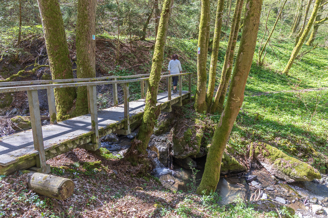 Brücke über den Hitzelbach
