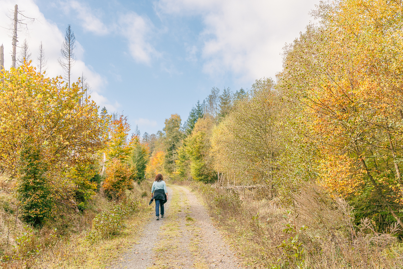 Herbstlicher Waldweg