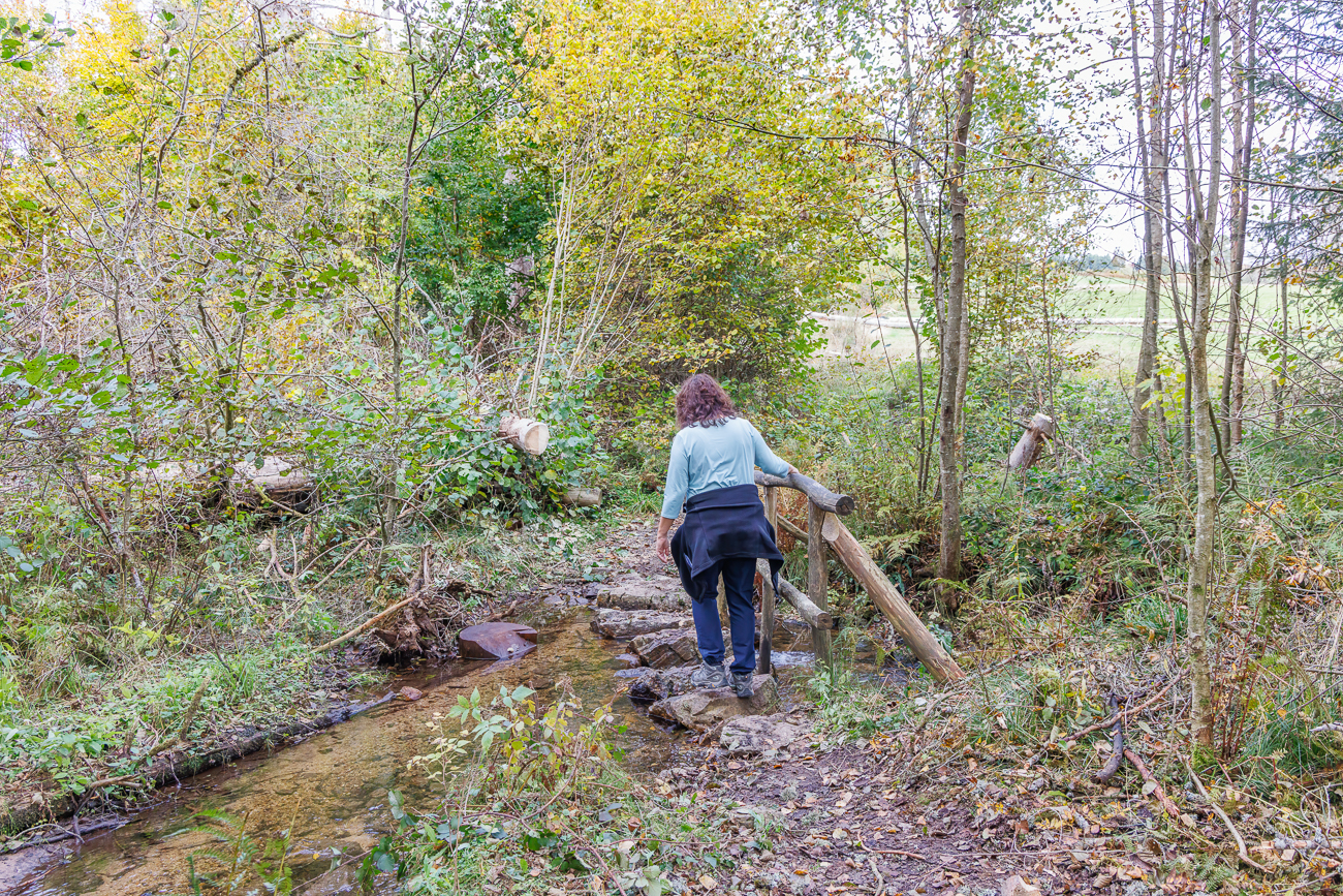 Auf Steinen über den Hengstbach