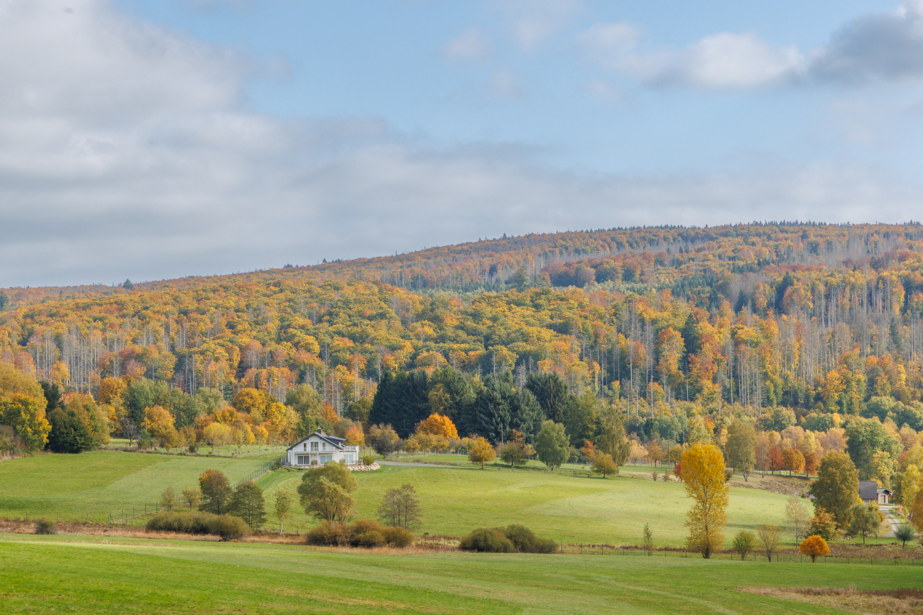 Herbstwald