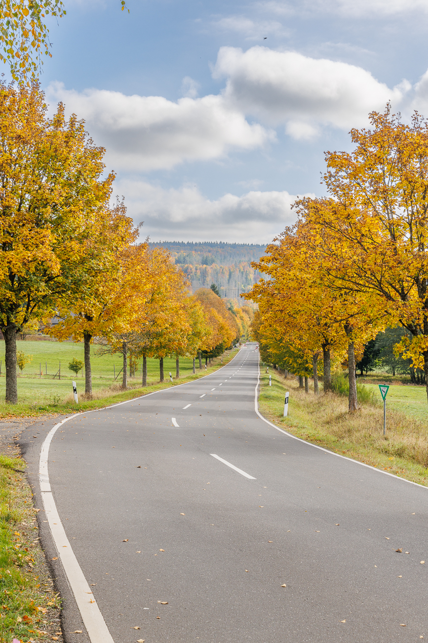 Schöne Allee
