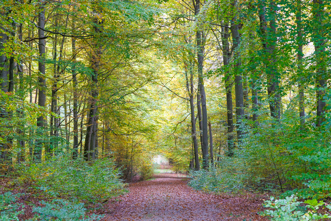 Laubdach
