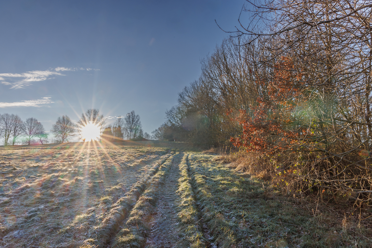 Wenn man gegen die tiefe Sonne läuft, ist man fast blind ;-)