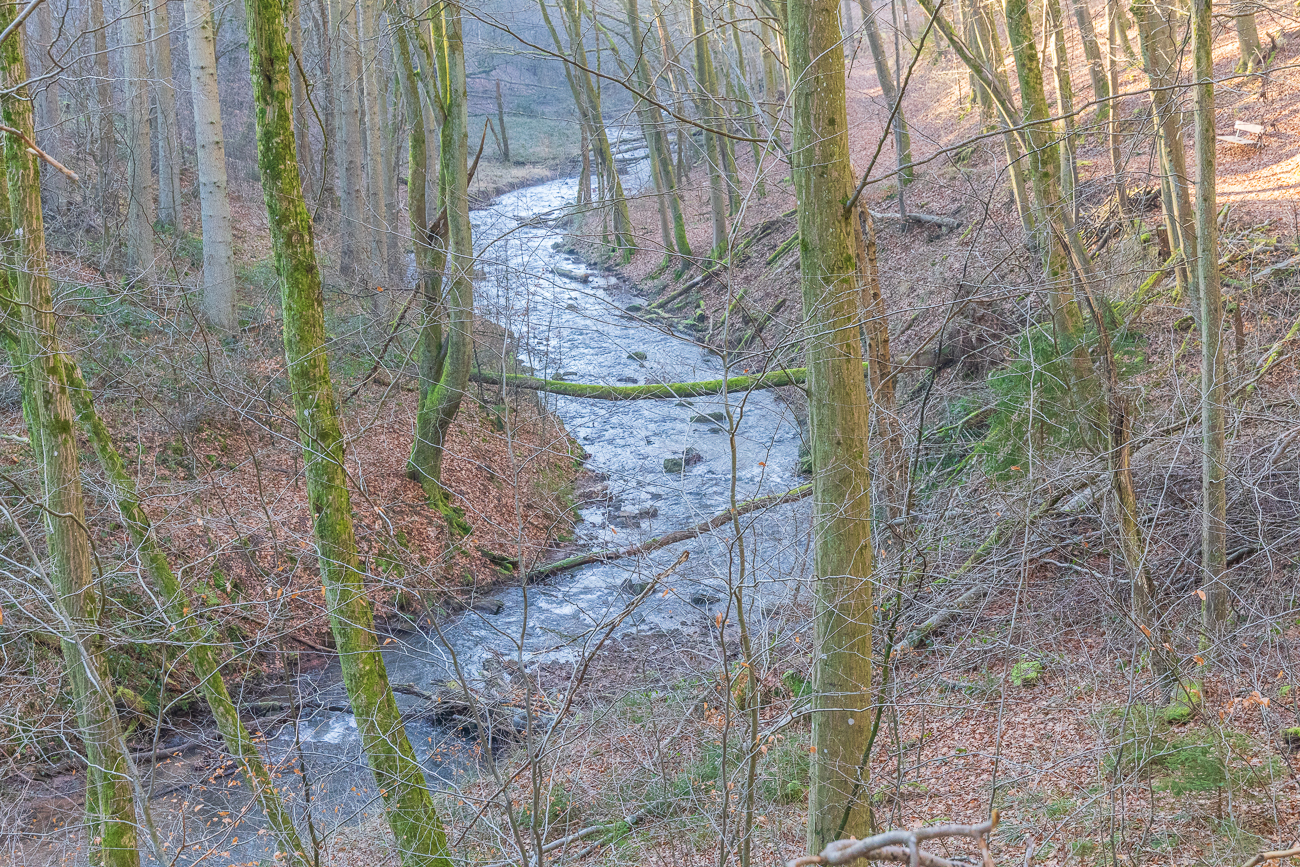 Der Lautenbach fließt unterhalb des Weges ...