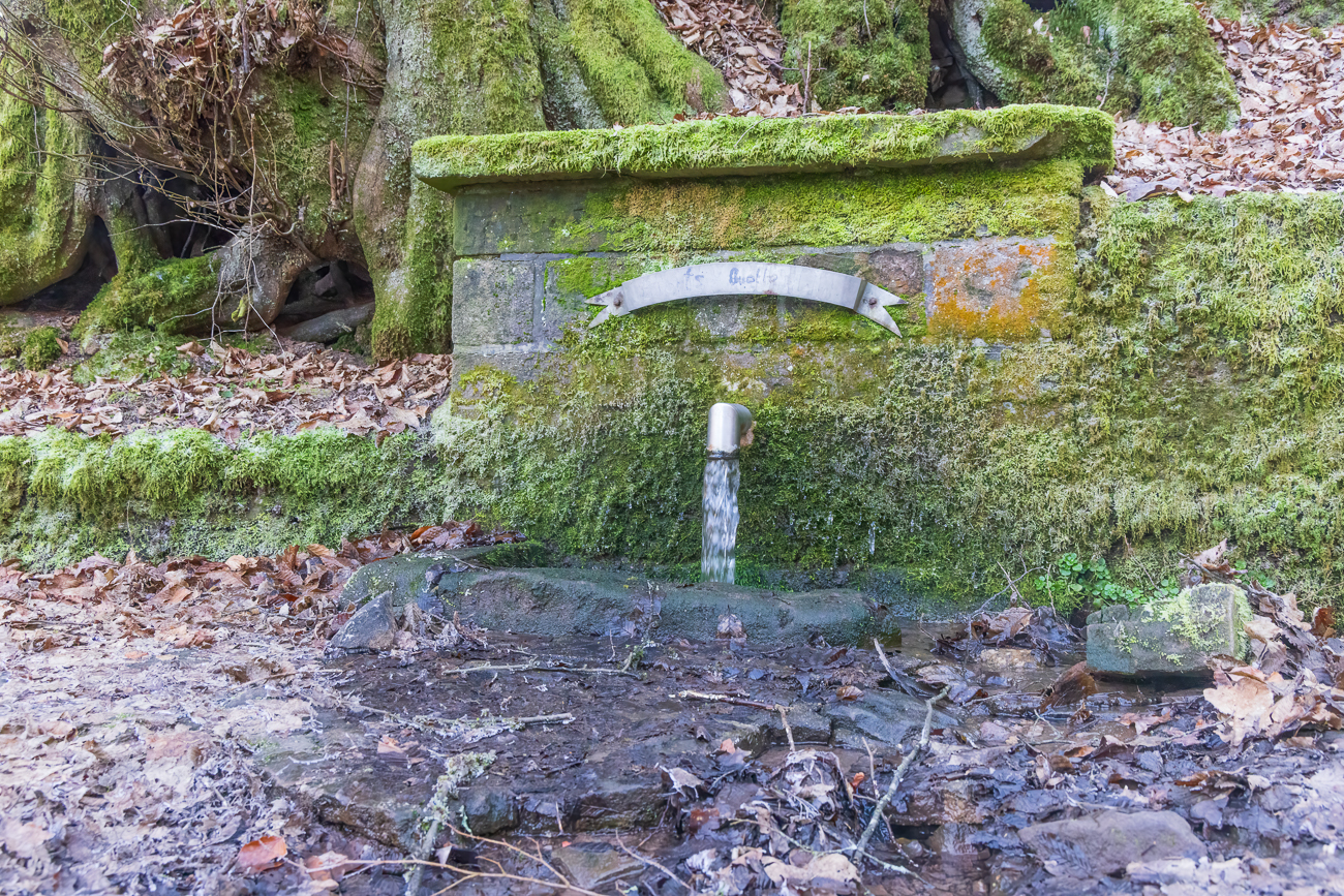 An der Ebertsquelle