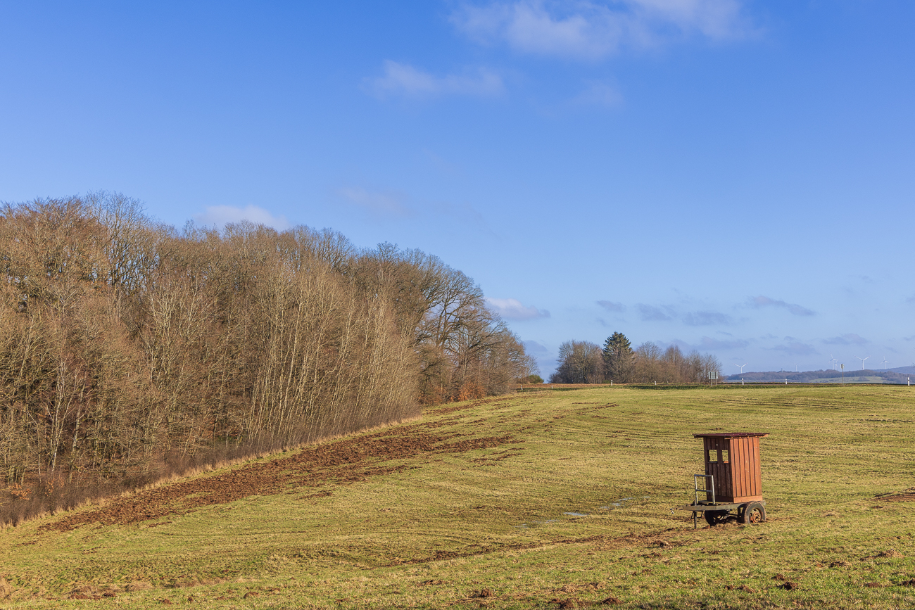 Von Wildschweinen durchwühltes Feld und ein mobiler Jägerstuhl = Wildbret ;-)