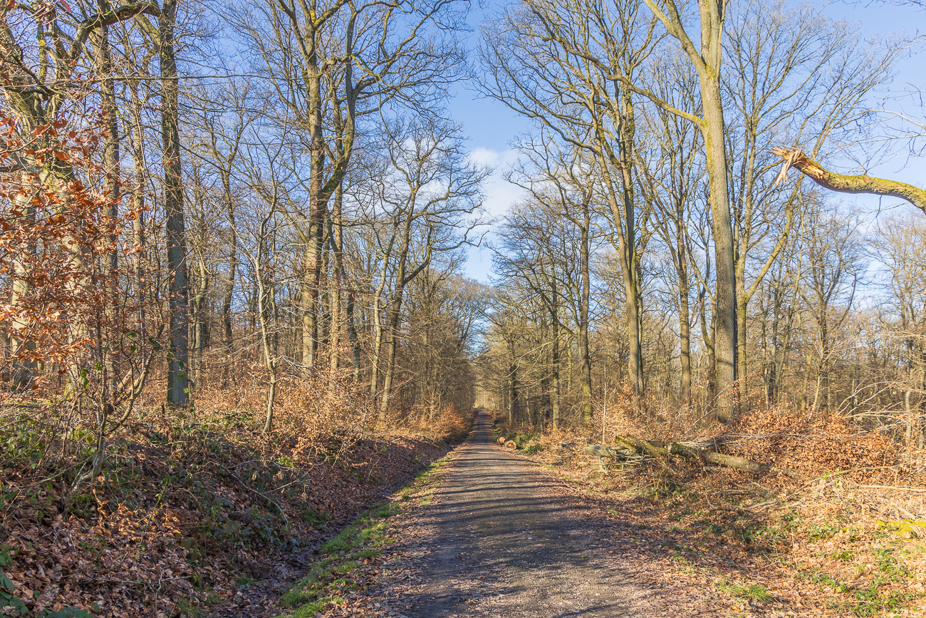 Auf dem Rückweg nach Stennweiler