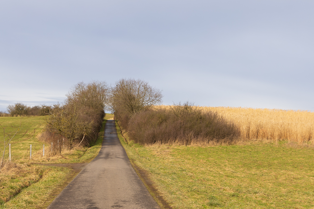 Nun geht es erstmal bergauf