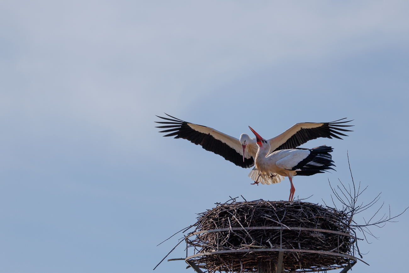 Freude über den Besuch