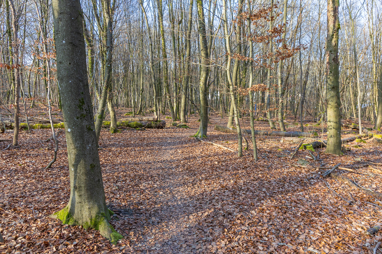 Endlich wieder mal ...