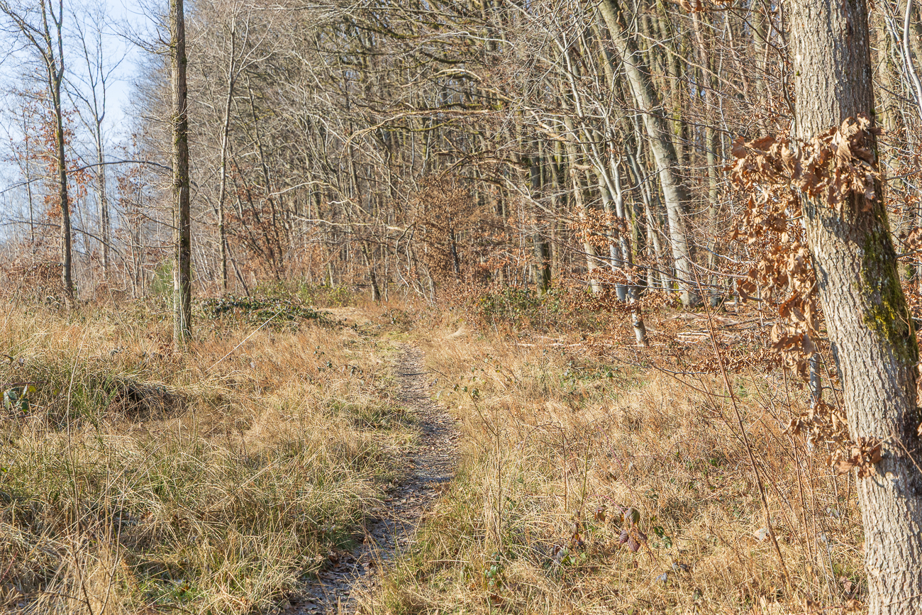 ... schmale Pfade statt breiter Wege
