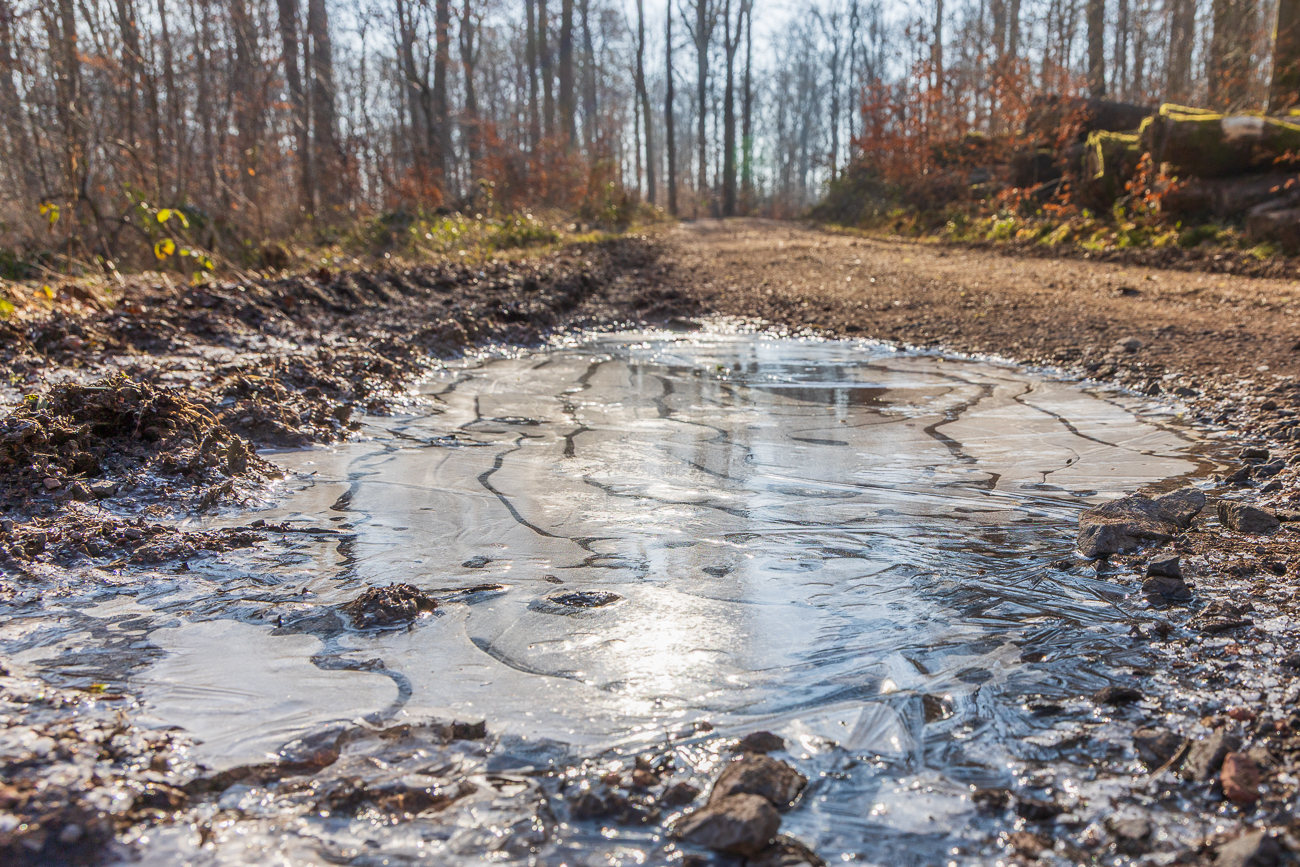 ... sonst wären Gummistiefel die besseren Wanderschuhe gewesen ;-)