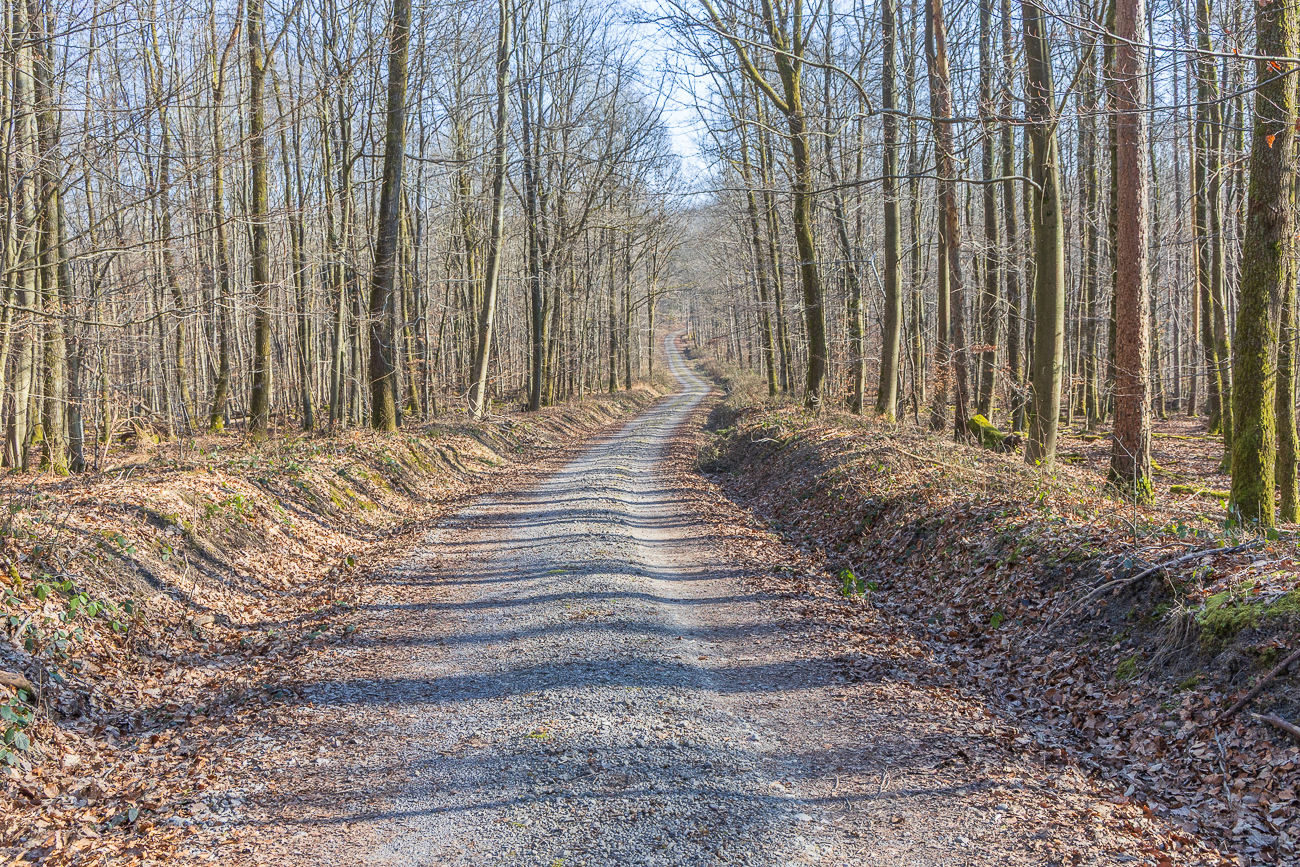 OK, zu früh gefreut :-(