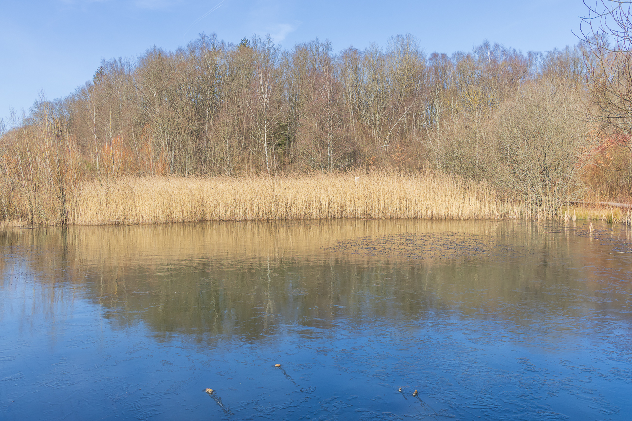Warum wirft jemand Essensreste (Hühnchenfleisch und Knochen) ins Wasser des Biotops? Viele Zellen scheinen da nicht in der Birne zu sein!