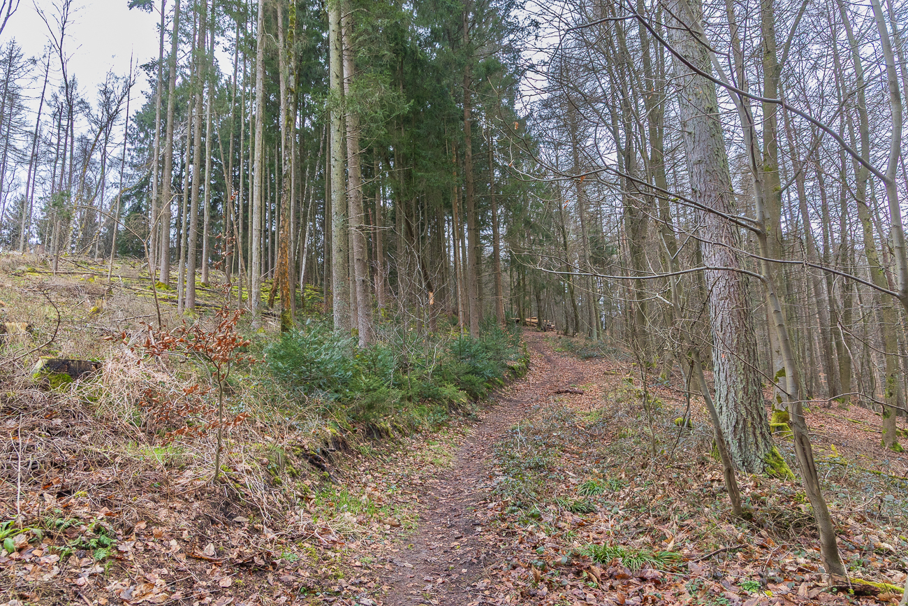 Dann stapfe ich mal den Berg hinauf