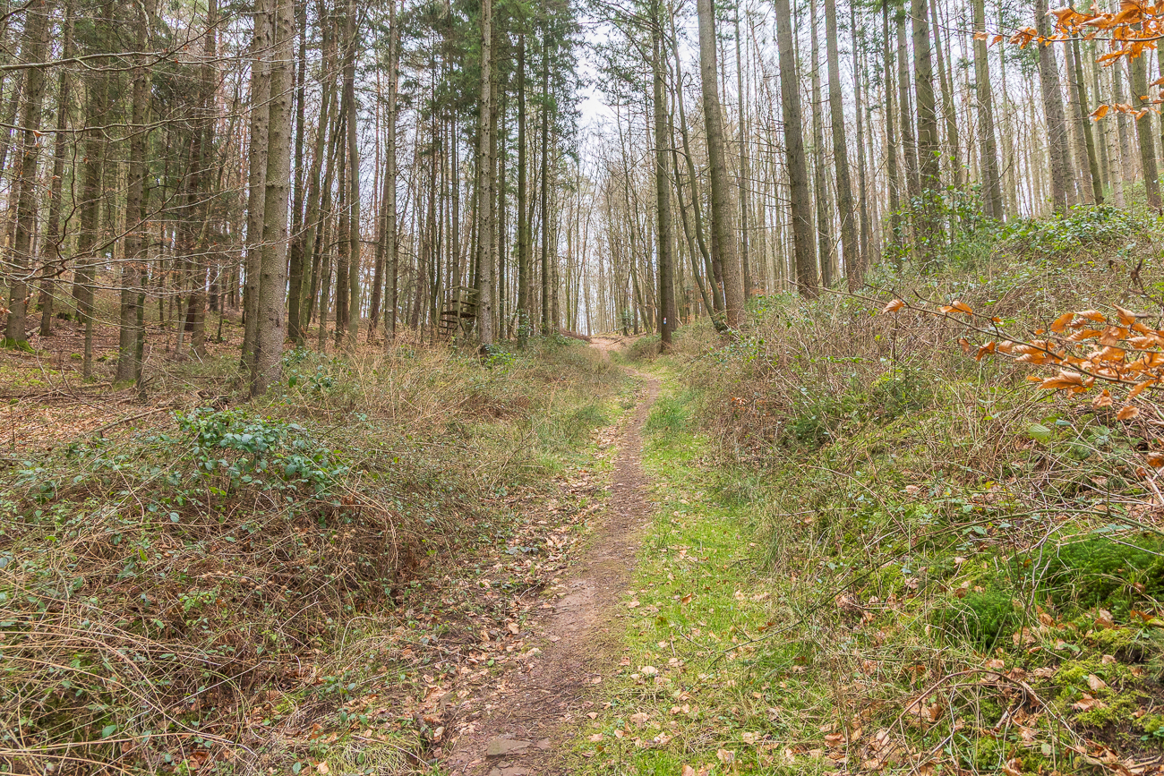 ... und mal aufwärts