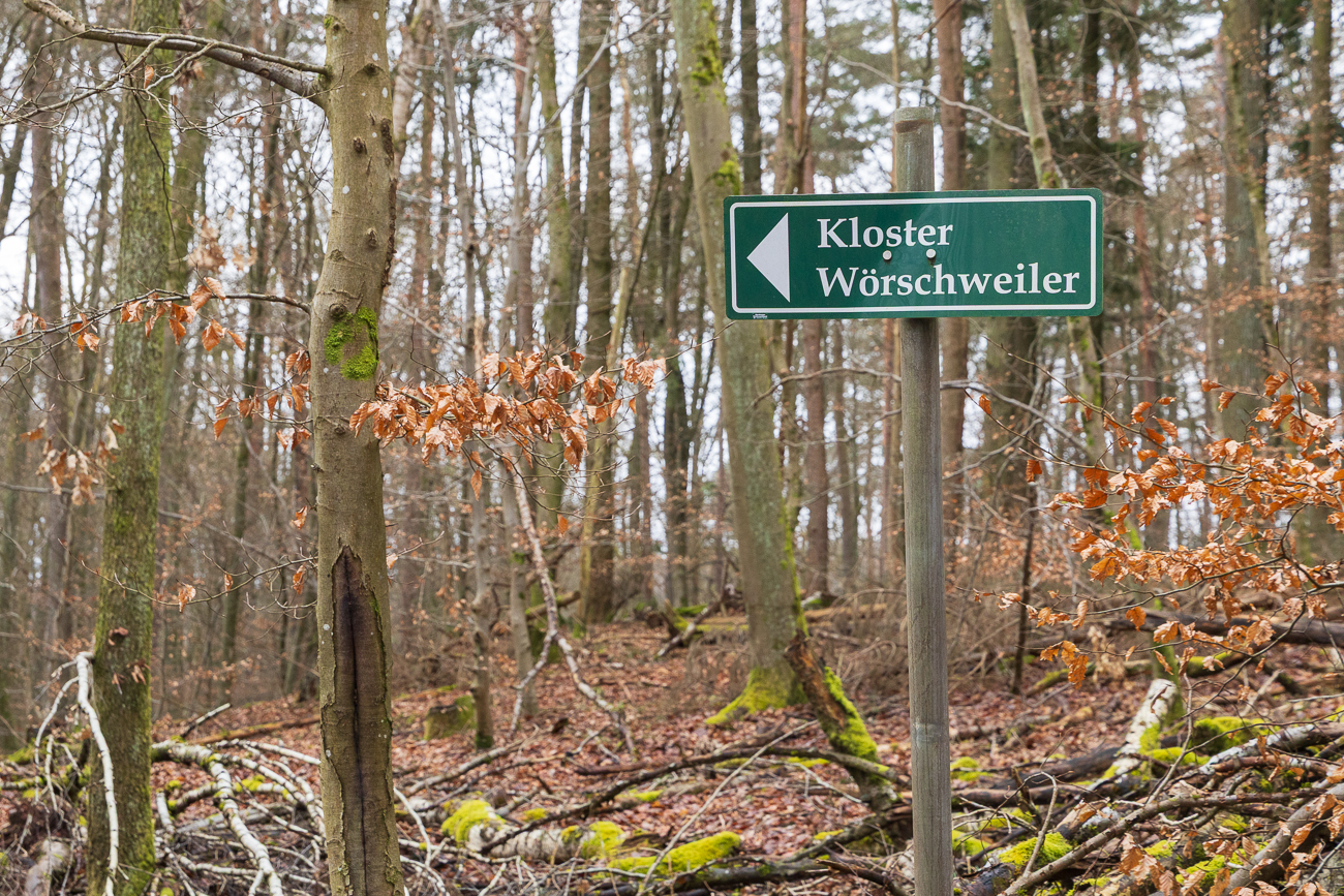Da geht's lang zur Klosterruine