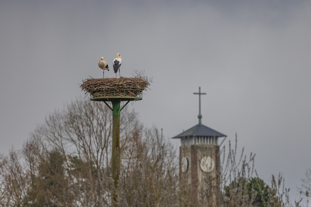 Im Hintergrund die Kirche St. Remigius in Beeden