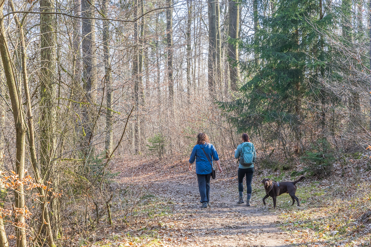 George schaut wo wir Männer bleiben