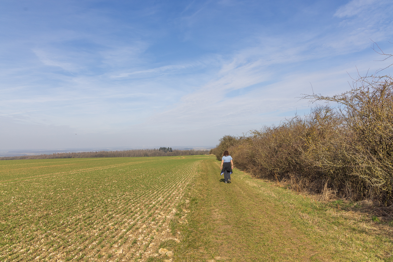 Wiesenweg mit Hecke