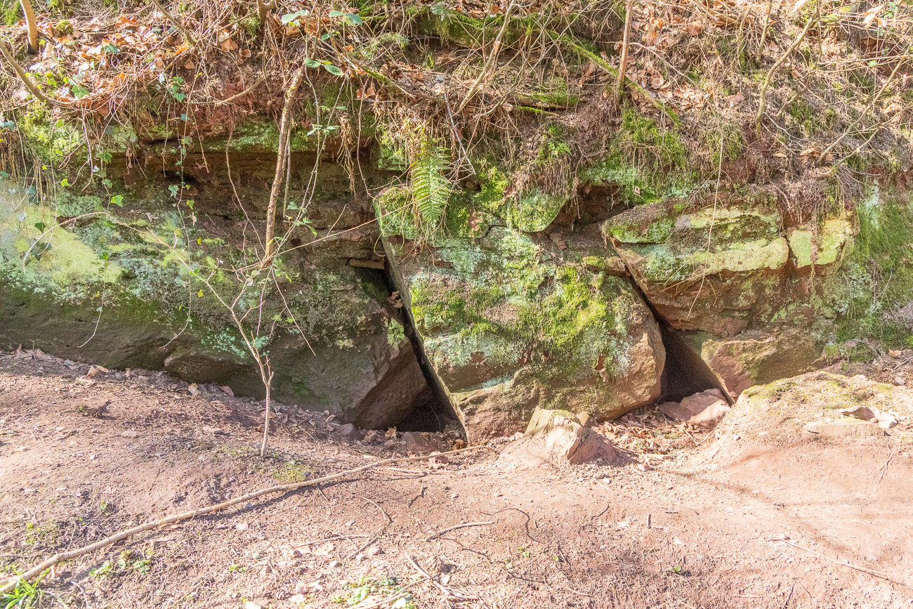 Bei den Dachslöchern ...