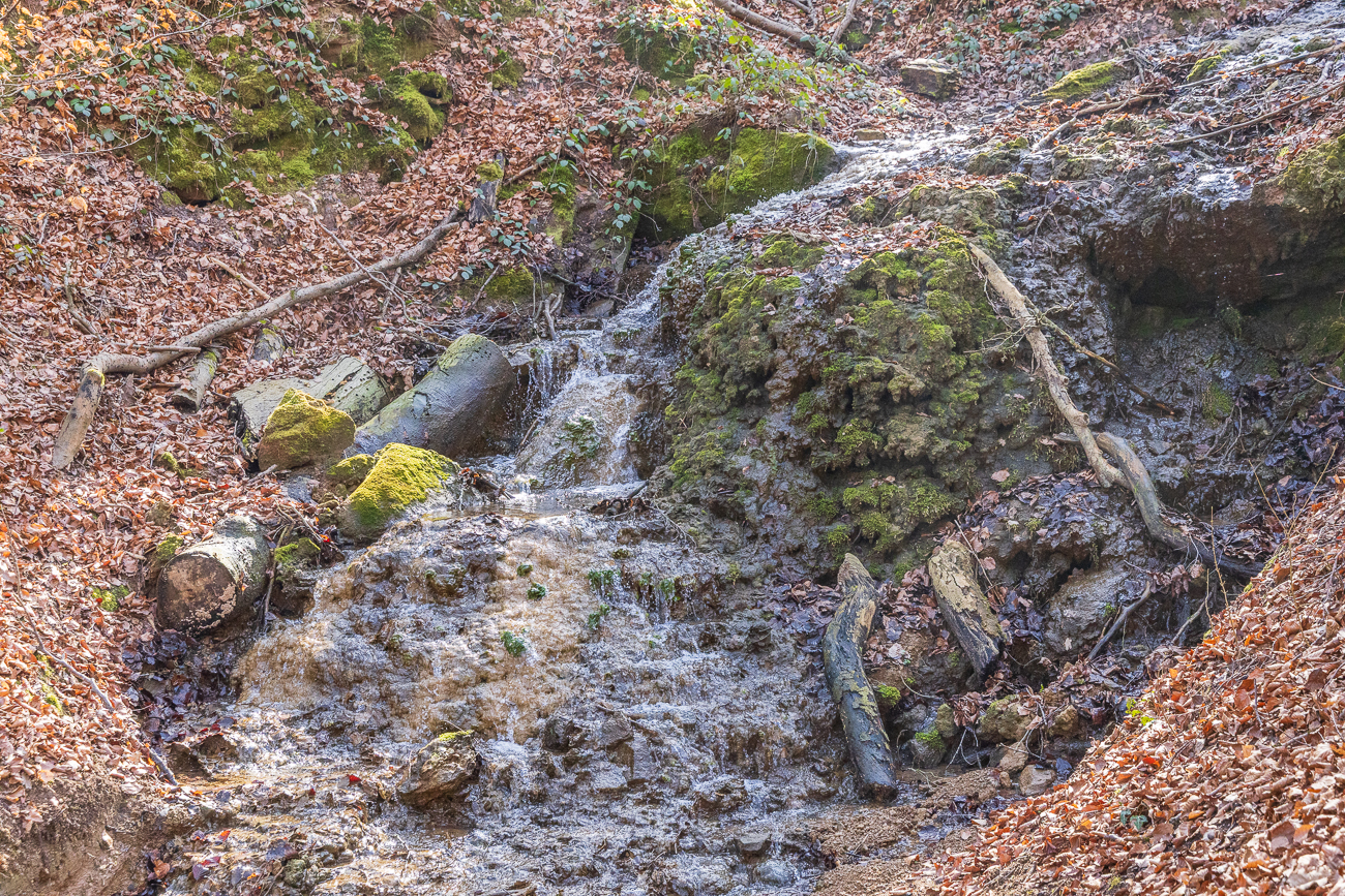 Die Tuffsteintreppe entstand durch den stetigen Wasserfluss und dem ausgefällten Kalk