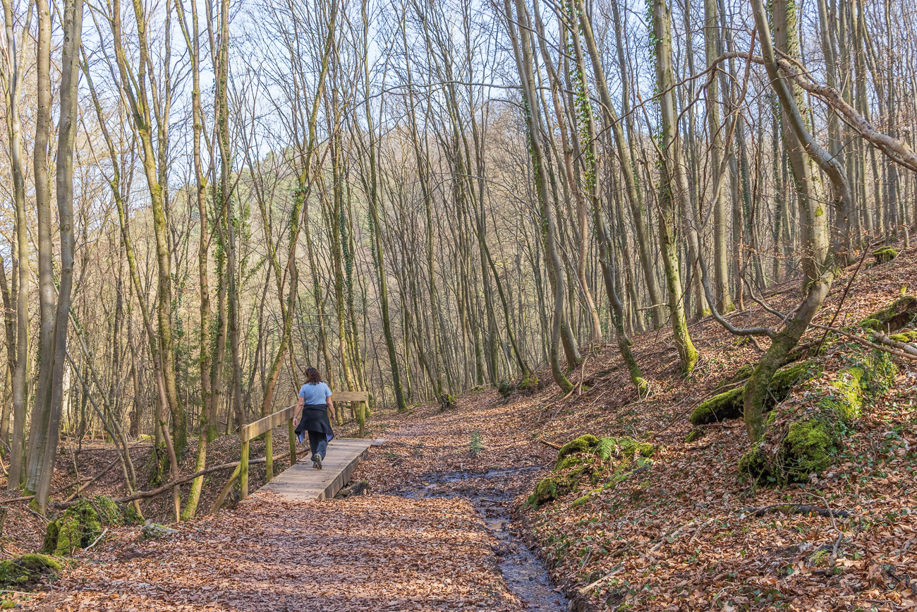 Große Brücke für kleinen Bach ;-)