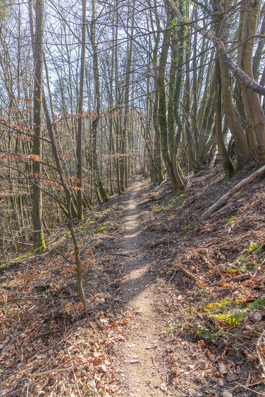 Schöner Singletrail