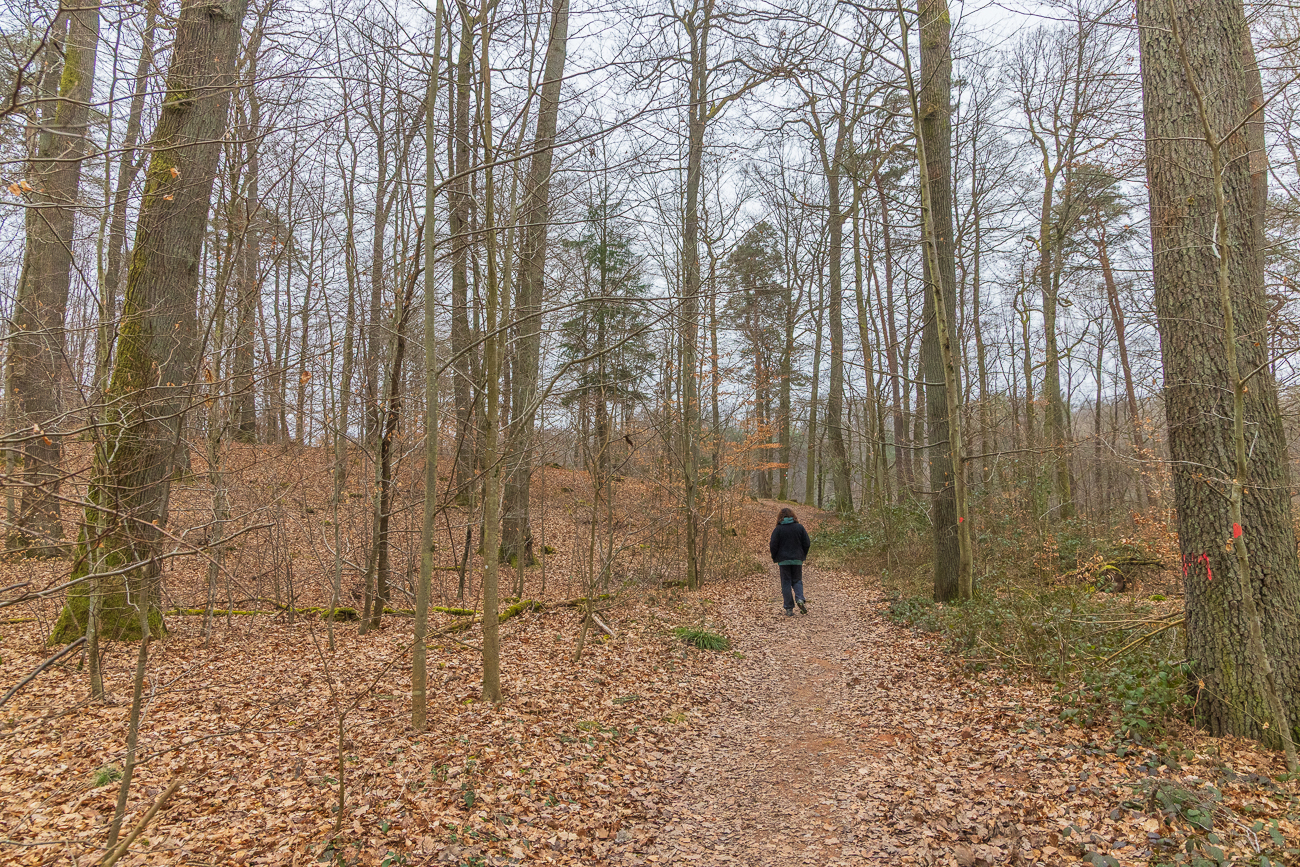 Durch das Laub am Boden laufen wir zum Möhlwoog