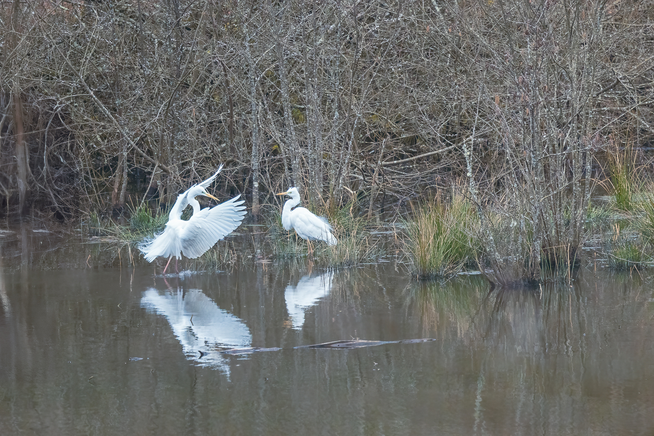 Und noch einer landet gerade