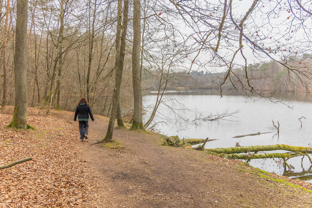 Weiter geht es am Woog entlang