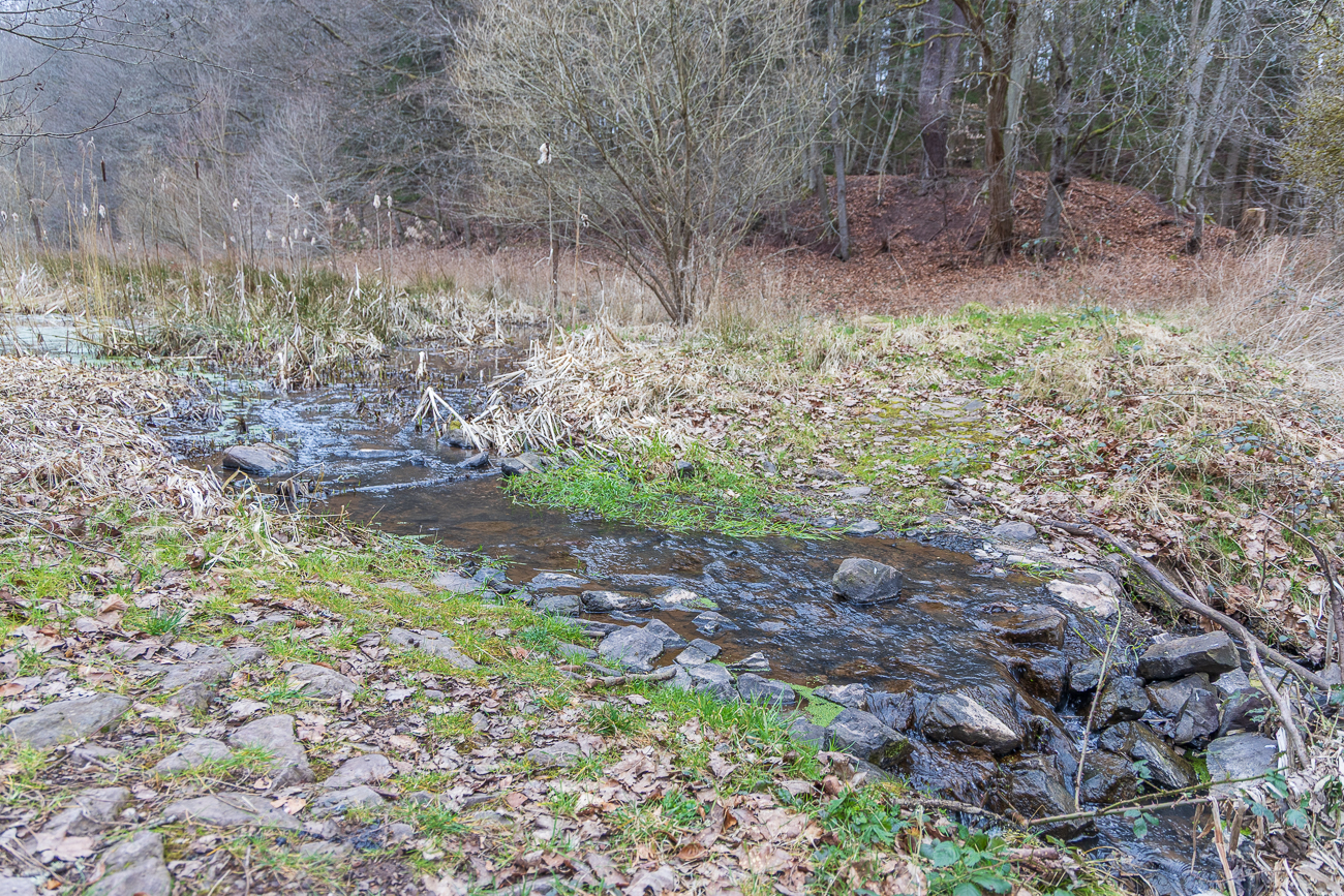 Bachlauf am Wegesrand