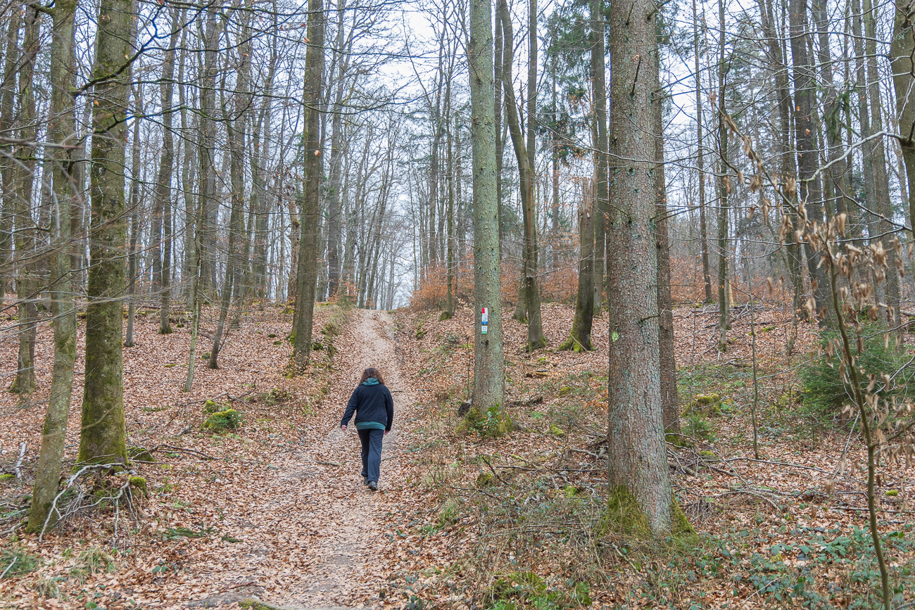 Ein wenig bergauf, auch wenn die Strecke insgesamt eher flach ist