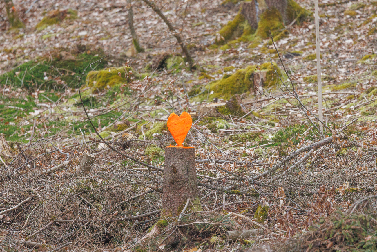 Da war der Waldarbeiter wohl verliebt ;-)