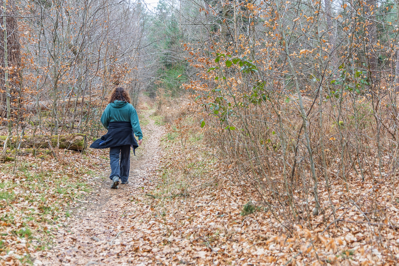 Schmaler Waldweg