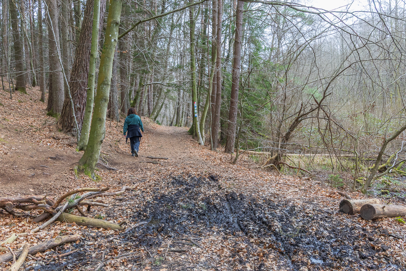 Manche Stellen waren doch noch etwas feucht