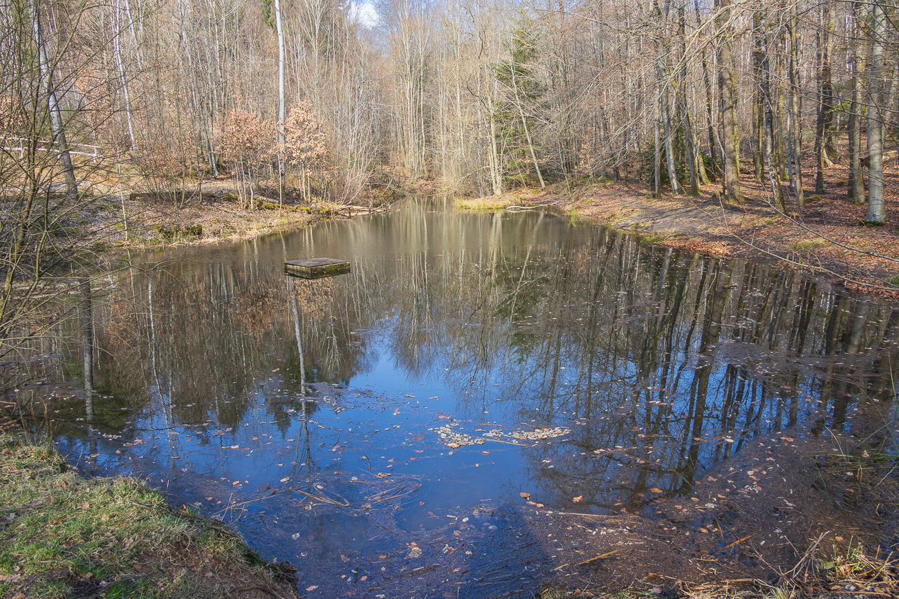 ... führt zum Sioux-Weiher