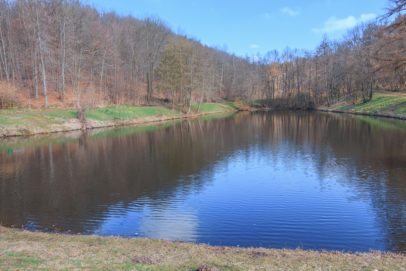 Der nächste Teich heißt laut Karte auch Schafweiher ;-)