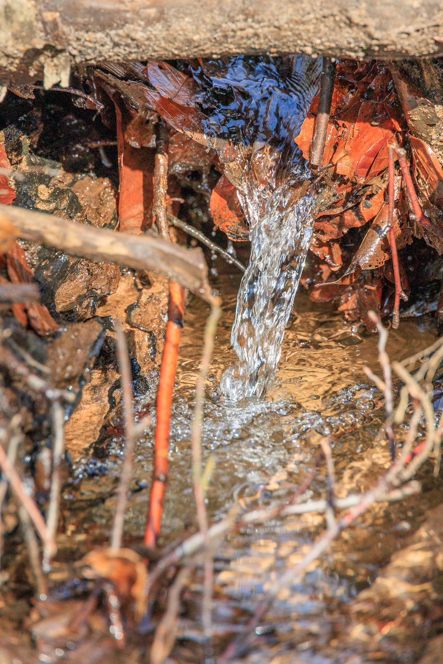 Plätscherndes Bächlein