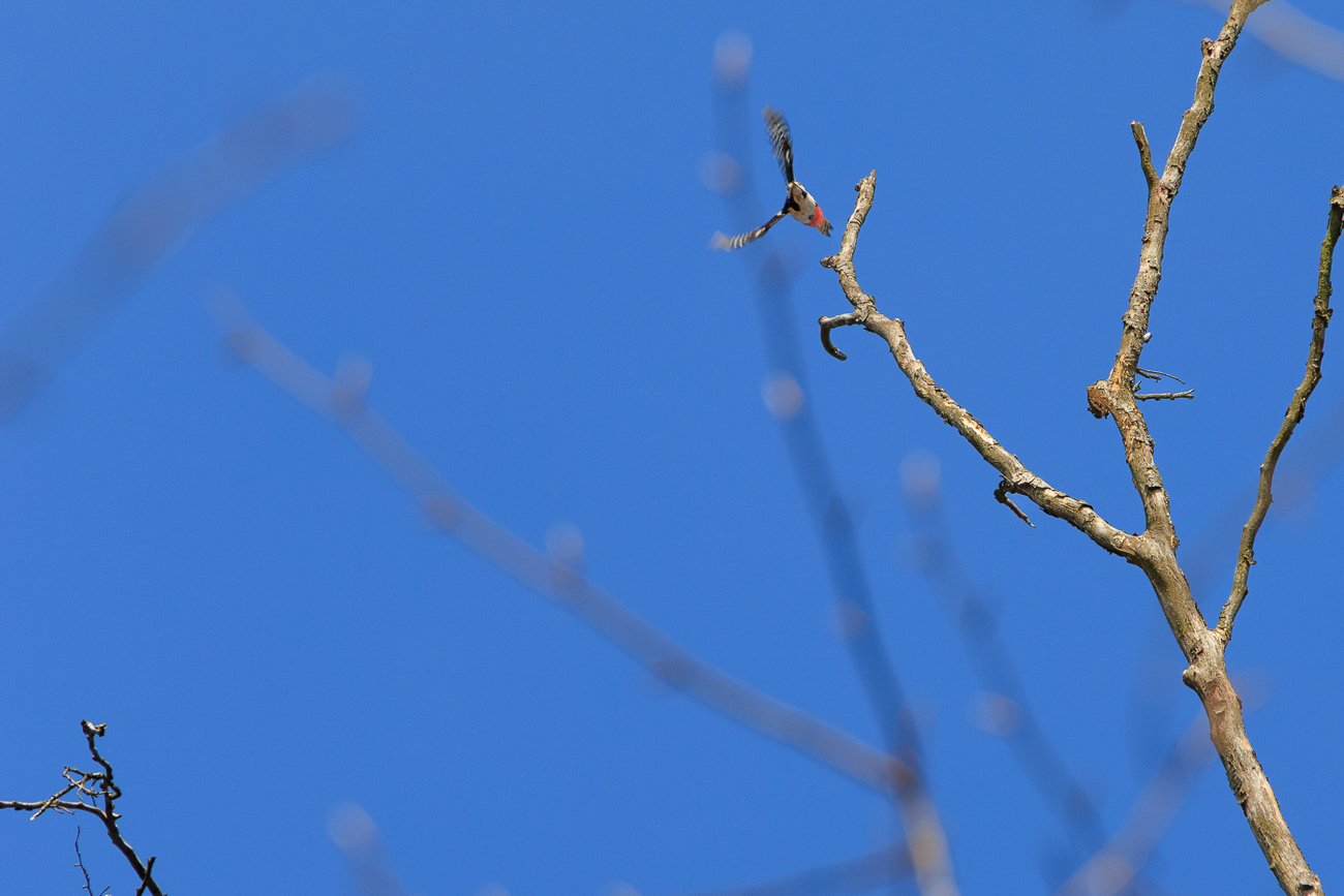 ... wie immer natürlich viel zu weit weg :-(