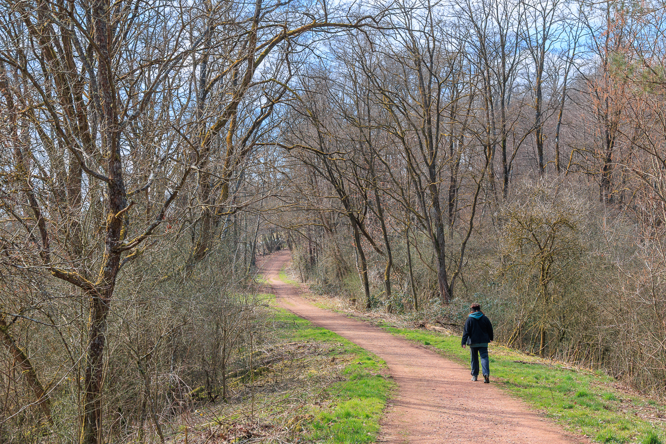 Langsam laufen, S-Kurve ;-)