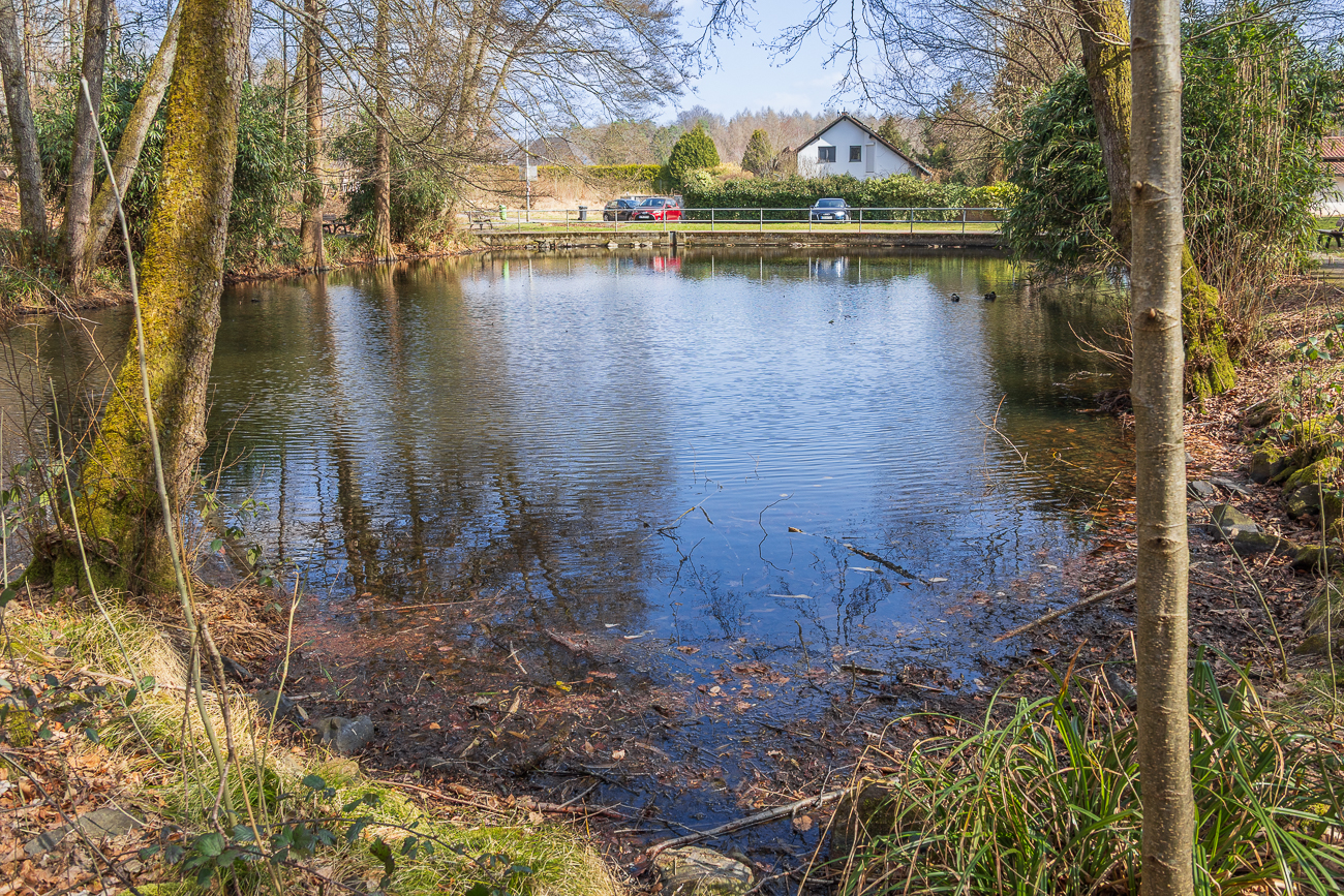 ... dieses gibt es im Weiher nebenan ;-)