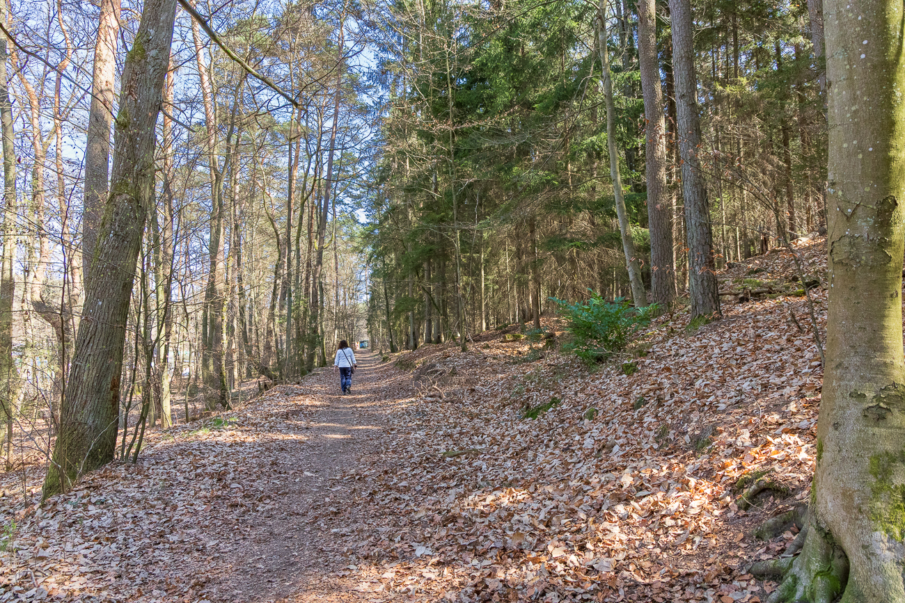 Start der Wanderung ist nahe dem Waldstadion in Homburg