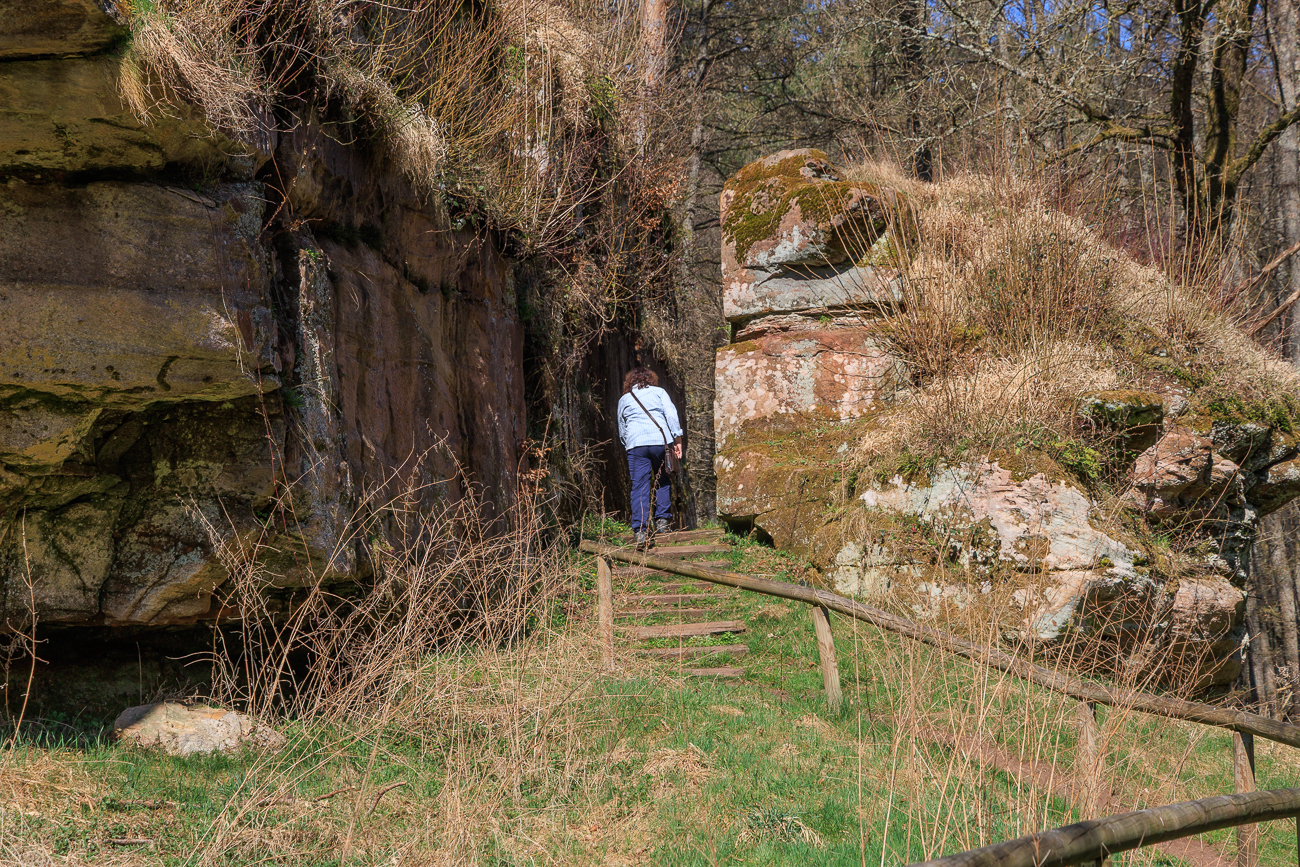 ... geht es zur Ruine Merburg hinauf