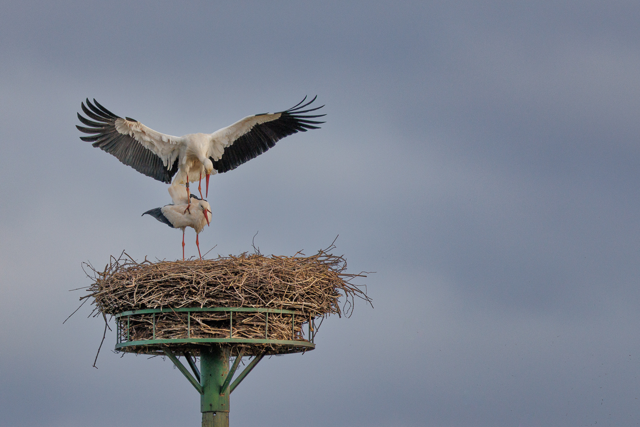 ... und so weiter ...