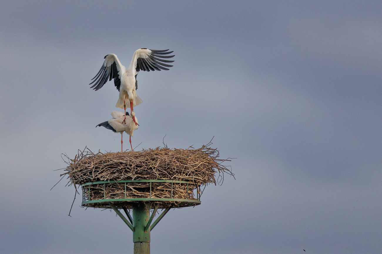 ... und so weiter ...