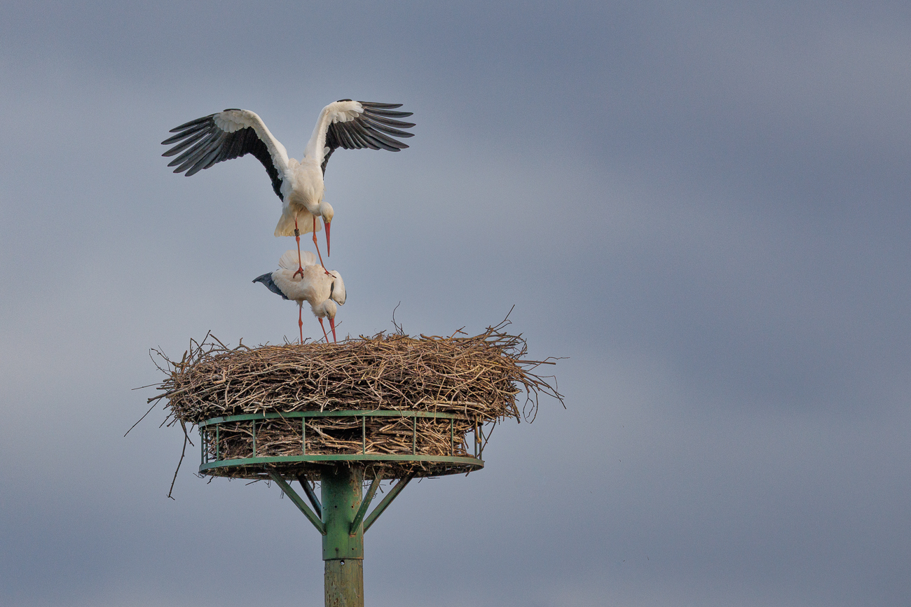 ... und so weiter ...