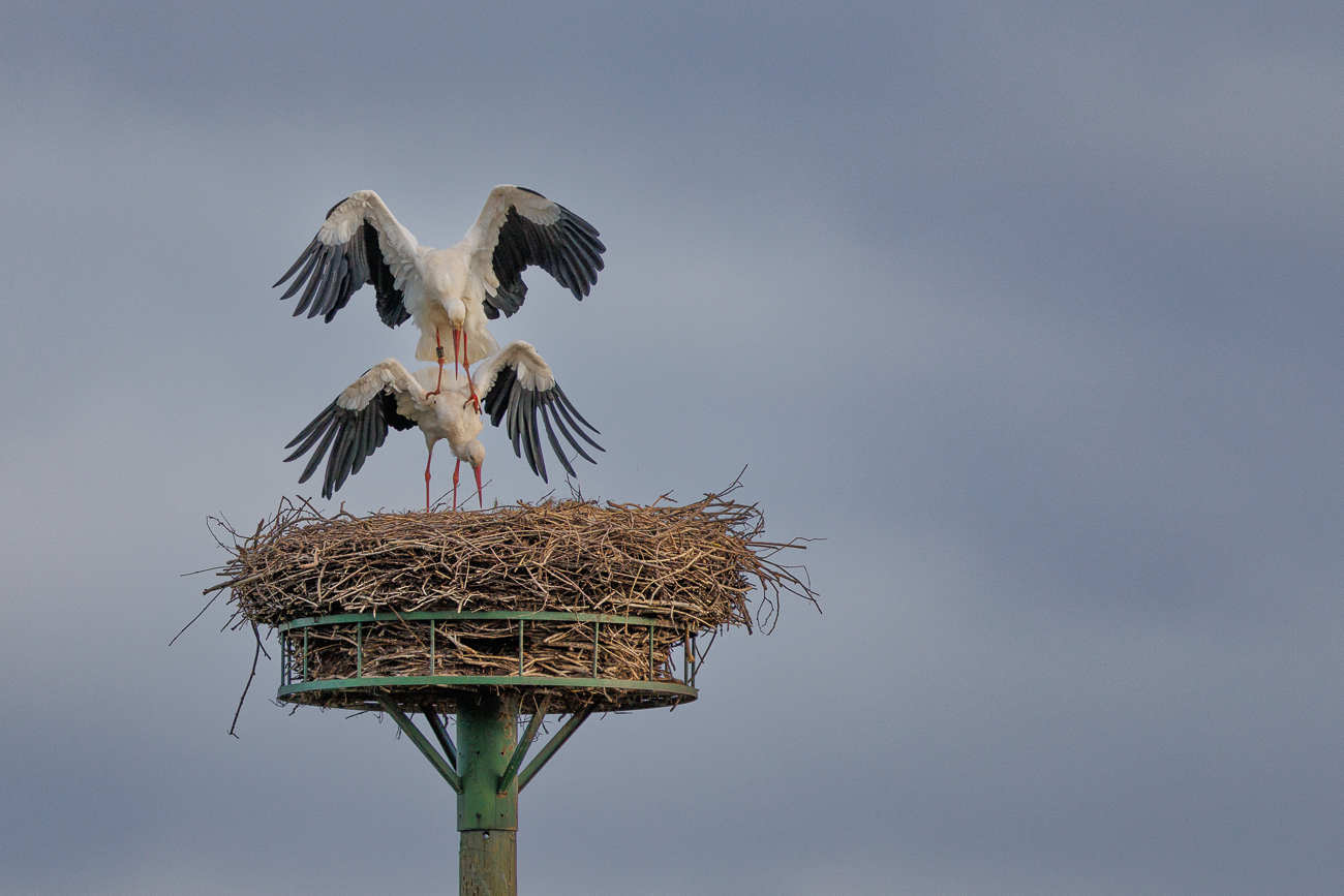 ... und so weiter ...