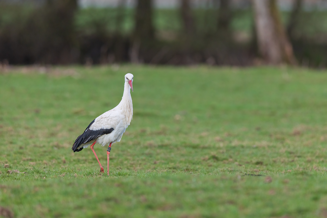 Was will der Kerl mit dem Fotoapparat von mir?