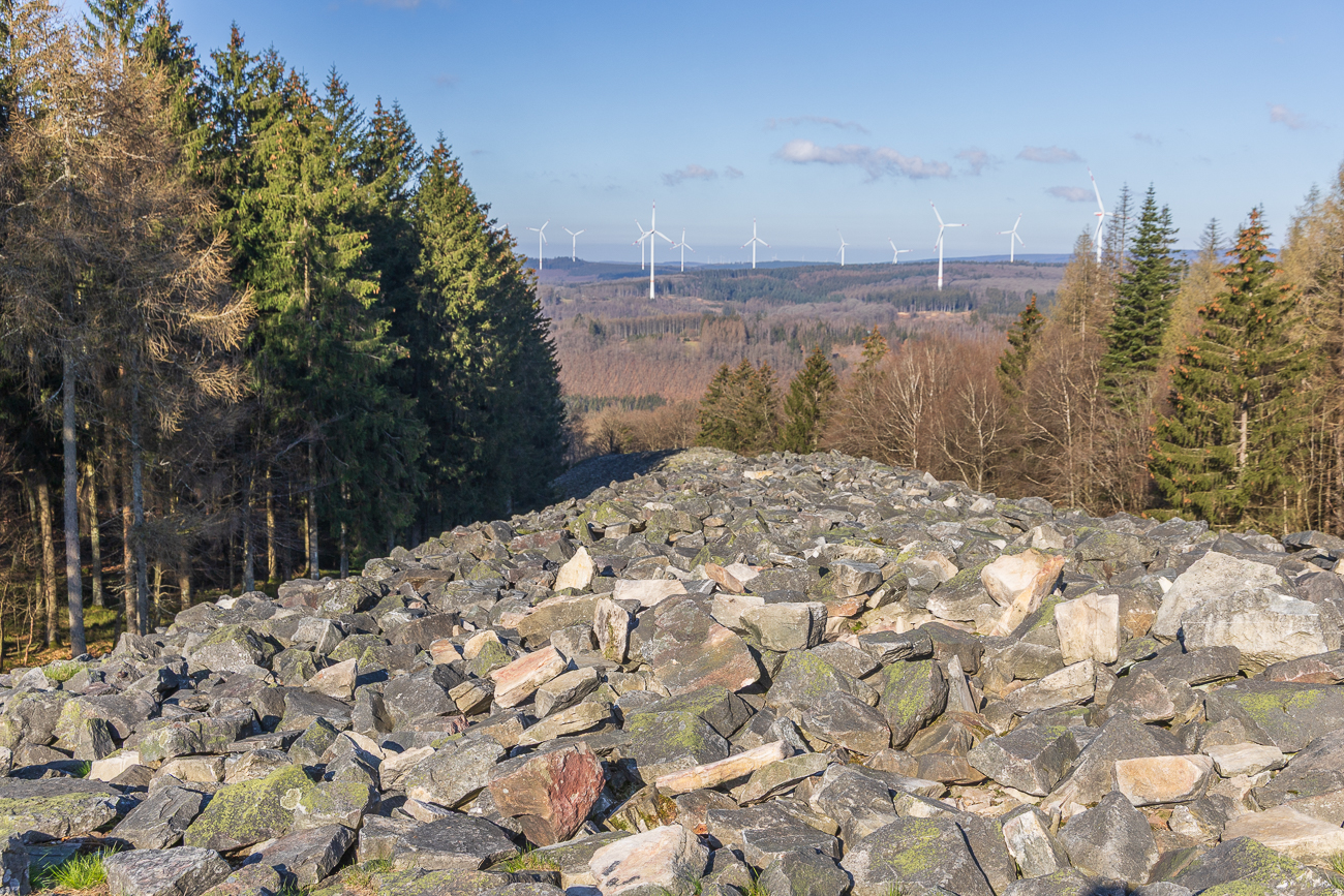 Blick von der Treppe am Ringwall auf denselben